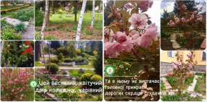 Read more about the article Весняний, квітучий двір коледжу, чарівний!